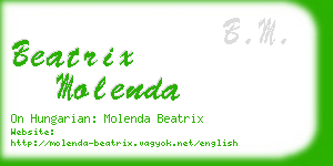 beatrix molenda business card